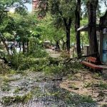 [Audio] Reducción de personal en el Servicio Meteorológico compromete la precisión de los pronósticos de clima extremo