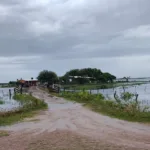 [Audio] Desde el MO.CA.SE comunicaron que las  pérdidas son totales para algunos productores tras el desborde del Río Dulce