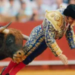 Un famoso torero español sufrió una brutal cornada durante un evento en Sevilla: la herida es de 10 centímetros