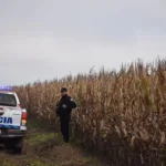 Fiscalía de Estado secuestra toneladas de soja y maíz producidas ilegalmente en tierras fiscales