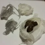 ​Escándalo en La Banda: Suspenden a tres alumnos tras descubrir que tenían «bagullos» de marihuana en la escuela