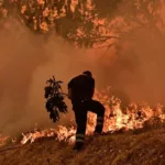 Incendios forestales devastaban miles de hectáreas en Florida