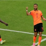 A pura contundencia, Países Bajos goleó a Suecia por el Grupo F