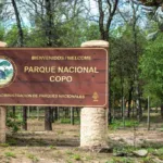 ​El Gobierno oficializó el plan de retiro voluntario para el personal de Parques Nacionales