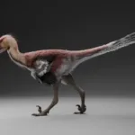 Descubren en Santa Cruz una nueva especie de dinosaurio raptor que habitó la Patagonia hace 66 millones de años