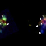 Científicos lograron observar cómo se fusionaron las galaxias más masivas del Universo