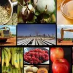 ​Santiago del Estero será sede del 1º Foro de Economías Regionales de la República Argentina