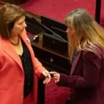 ​Revés para el oficialismo: el Senado desafió a Milei y aprobó el pliego de la jueza Michelli