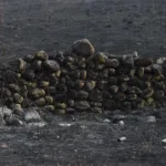 La península ibérica sufre la ola de calor y los incendios forestales