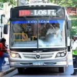Habrá colectivos gratuitos para la Velada Popular por el 473° aniversario de Santiago