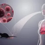 Chile en alerta sanitaria por la letalidad del hantavirus