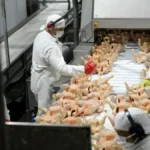 Granja Tres Arroyos suspendió la actividad de su planta en Capitán Sarmiento y temen cierre definitivo