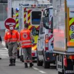 Virus Shamonda: muere en Francia la primera persona infectada en el mundo